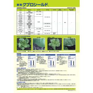 クプロシールドフロアブル 2Lの詳細画像2