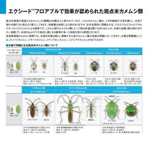 エクシードフロアブル 500mlの詳細画像1