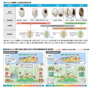 エクシードフロアブル 500mlの詳細画像2