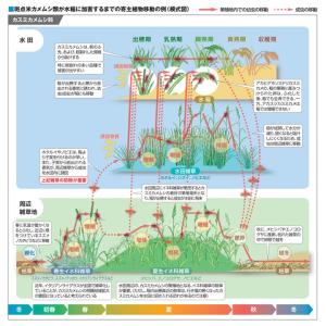 エクシードフロアブル 500mlの詳細画像3
