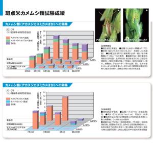 エクシードフロアブル 500mlの詳細画像4