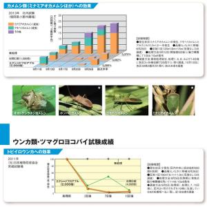 エクシードフロアブル 500mlの詳細画像5