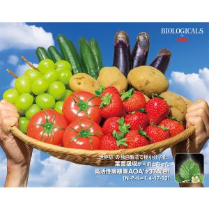 静岡県限定 秀穫強化肥料「ギアアップ」1Lの詳細画像1