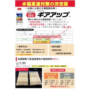静岡県限定 秀穫強化肥料「ギアアップ」1Lの詳細画像2