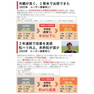 静岡県限定 秀穫強化肥料「ギアアップ」1Lの詳細画像5