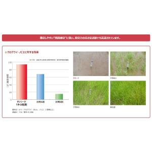 水稲用中後期除草剤「ゲパードジャンボ」400gの詳細画像3