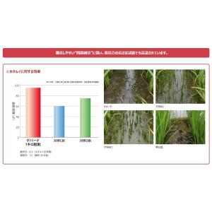 水稲用中後期除草剤「ゲパードジャンボ」400gの詳細画像4