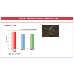 水稲用中後期除草剤「ゲパードジャンボ」400gの詳細画像5