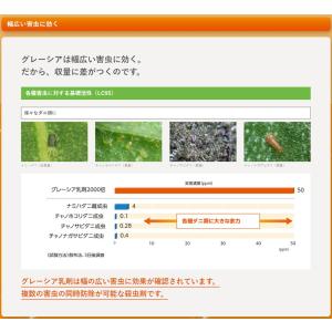 グレーシア乳剤 500mlの詳細画像5