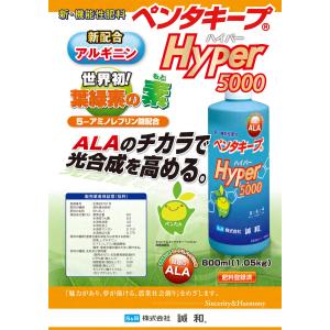 ペンタキープHyper5000 800mlの詳細画像1