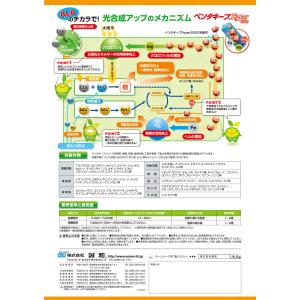ペンタキープHyper5000 800mlの詳細画像2