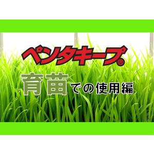ペンタキープHyper5000 800mlの詳細画像3