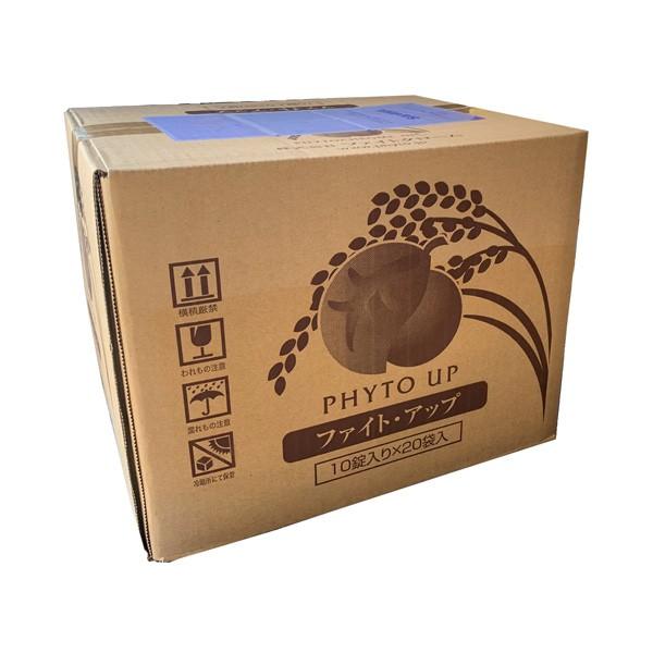 水田用投込発泡剤 ファイト・アップ（米用）500g×20袋