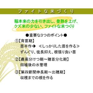 水田用投込発泡剤 ファイト・アップ(米用)500gの詳細画像1