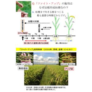 水田用投込発泡剤 ファイト・アップ(米用)500gの詳細画像5