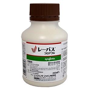レーバスフロアブル 250mlの商品画像