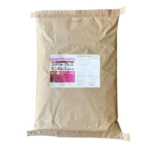 水稲育苗箱専用殺虫殺菌剤「スタウトアレス箱粒剤」12kg : アグリ 
