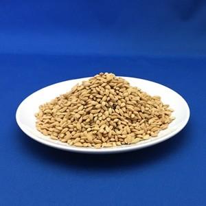 富山県産「ひとめぼれ」種もみ1Kg