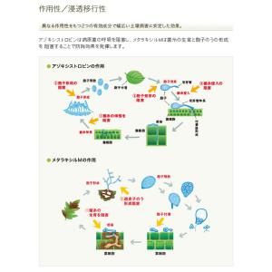 ユニフォーム粒剤 3kgの詳細画像5