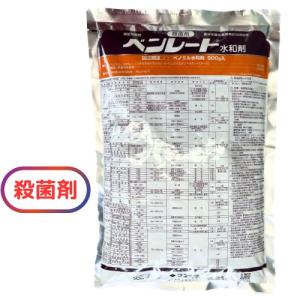 水稲いもち病 さつまいも基腐苗予防　殺菌剤 ベンレート水和剤500ｇ｜agrimiraiz