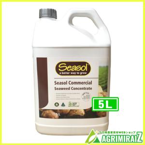 Seasol 5L 液体海藻活性剤 昆布 海藻エキス シーソル
