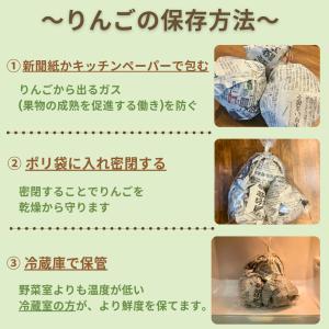 送料無料 1000円ポッキリ 訳あり りんご ...の詳細画像3