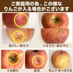 【長野県産】サンふじ りんご ご家庭用 約3k...の詳細画像2
