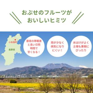 【長野県産】サンふじ りんご ご家庭用 約3k...の詳細画像5