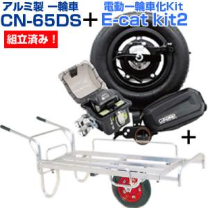 (キューボレックス)(組立済み) E-catki...の商品画像