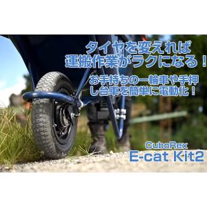 (キューボレックス)(組立済み) E-catk...の詳細画像1