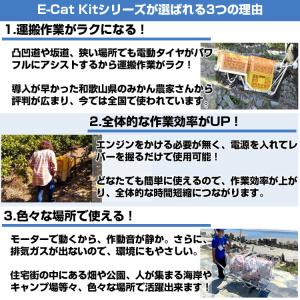 (キューボレックス)(組立済み) E-catk...の詳細画像5