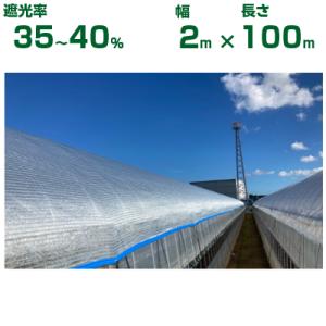 ダイオラッセル 1600 (遮光ネット) 黒 巾200cm×長さ50m 遮光率60〜65