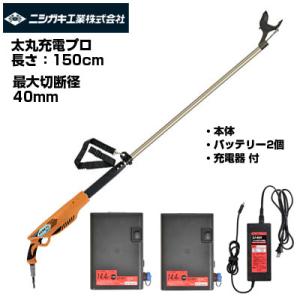 A&D エー・アンド・デイ PHメーター AP-20 防塵 防水 IP67 pHメータ