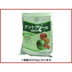 (農薬) アントラコール 顆粒水和剤 1kg (...の商品画像