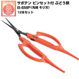 (12本セット) サボテン ぶどう鋏 ピンセット...の商品画像
