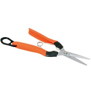 (最短当日発送) 芽切鋏 サボテン NO.AG-8 サボテン  芽切はさみ 野菜 果実 摘果 収穫 ...