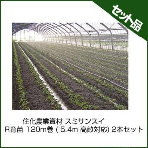 住化農業資材 潅水チューブ スミサンスイR露地ワイド 100m 1巻 : 農家