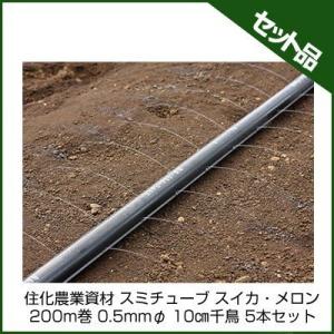 潅水チューブ スミチューブ 潅水チューブ 住化農業資材 スミチューブ25 スイカ・メロン 200m巻 0.5mmφ 10cm千鳥 5本セット 潅水チューブ 灌水チューブ