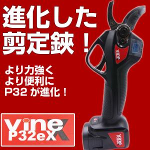(在庫あり)(プレミア保証付)(専用ケース付)...の詳細画像1