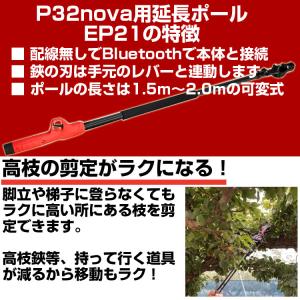 (プレミア保証付) 電動剪定バサミ バイン P...の詳細画像4