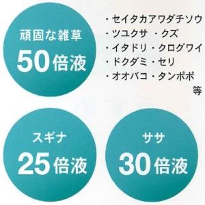 除草剤 サンフーロン 5L 除草剤 ジェネリッ...の詳細画像3
