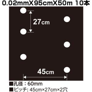 シンセイ ホールマルチ 黒マルチ 9227 0.02mm X 95cm X 50m 10本 穴あきマルチ 2列 農業資材 家庭菜園 マルチング マルチシートの商品画像