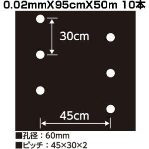 シンセイ ホールマルチ 黒マルチ 9227 0.02mm X 95cm 50m 10本 穴あき