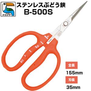 最短当日発送) ぶどう鋏 チカマサ 近正 ぶどう手入れ鋏 ステンレス刃