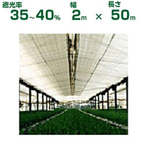 遮光ネット 白 ダイオ 2m×50mの買取情報