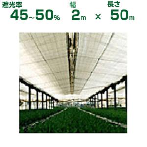 【数量限定】シンセイ 遮光ネット 白 50% 1m×50m 遮光ネット 白 遮光率 白 50％ 1m×50m 2本 セット シンセイ