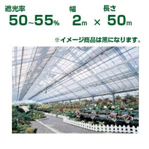 ダイオ ダイオ化成 遮光ネット シルバー×黒 ダイオミラー 95HB-6（遮光