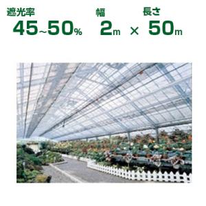 ダイオ ダイオ化成 遮光ネット シルバーグレイ ダイオラッセル 1600SG