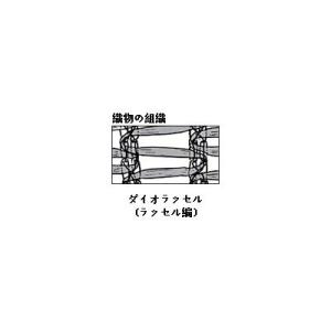 ダイオ化成 遮光ネット 黒 ダイオラッセル 1...の詳細画像1