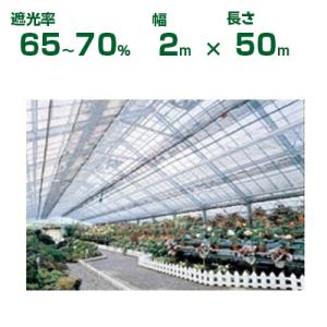 ⭐️未使用品⭐️イノベックス 遮光ネット ラッセル編1700SG 65〜70％ シルバーグレー 幅2m×50m イノベックス 遮光ネット ラッセル編1700SG 65〜70％ シルバーグレー